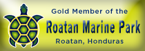 roatanmarinepark-gold